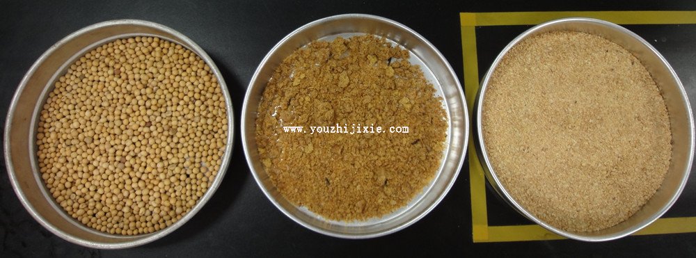 從左到右分別是：大豆、經(jīng)過膨化處理還未浸出的大豆料胚、豆粕