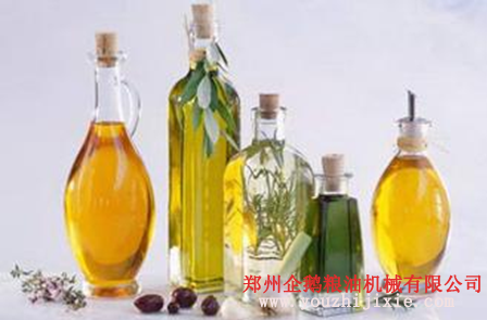 油脂設(shè)備之苦蕎籽油提取設(shè)備 苦蕎籽油營養(yǎng)價值高(圖2)