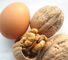 核桃深加工項目-核桃油設(shè)備生產(chǎn)商鄭州企鵝糧油(圖2)