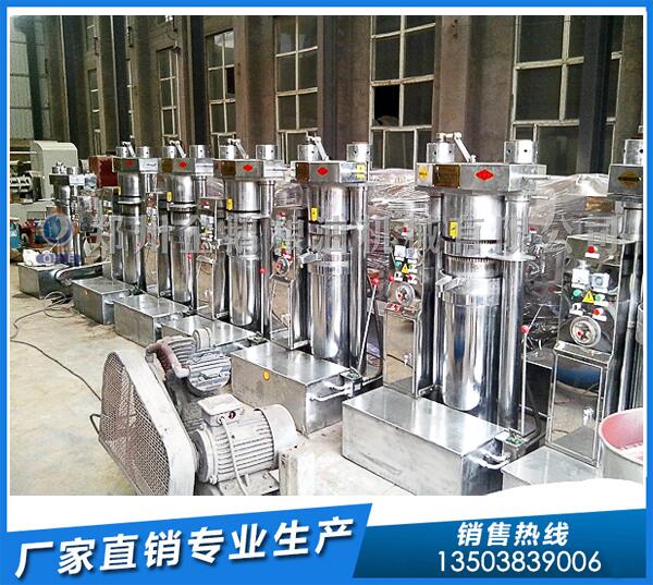 核桃油設(shè)備