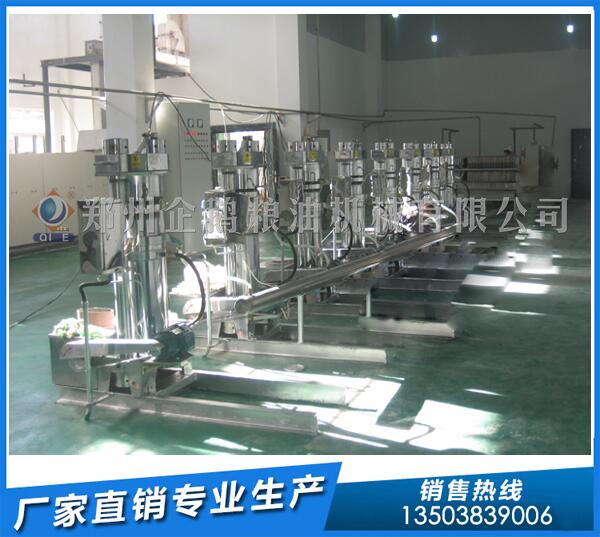 核桃油加工設(shè)備