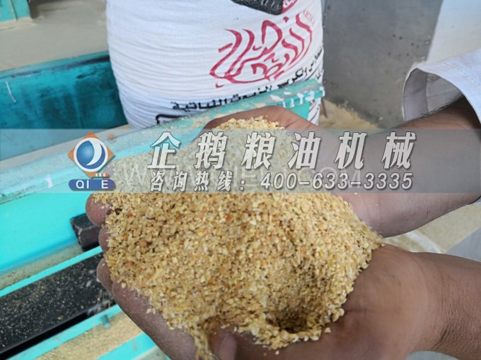 米糠油精煉設備，企鵝機械不斷創新提升工藝效果(圖2)